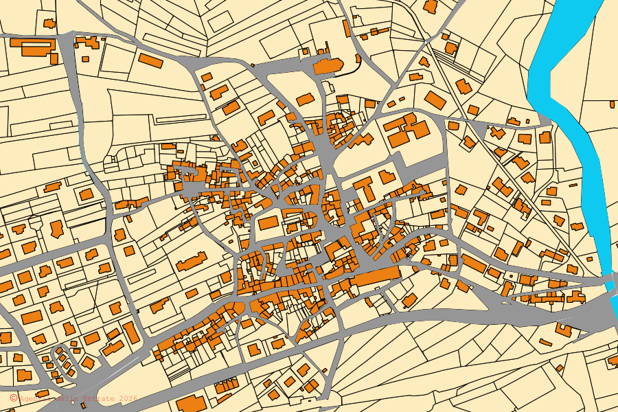 Mappa catastale del centro di Amaro: particelle e fabbricati, cartografia Agenzia delle Entrate