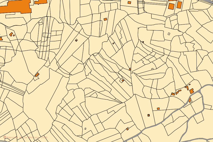 Mappa catastale del centro di Argusto: particelle e fabbricati, cartografia Agenzia delle Entrate