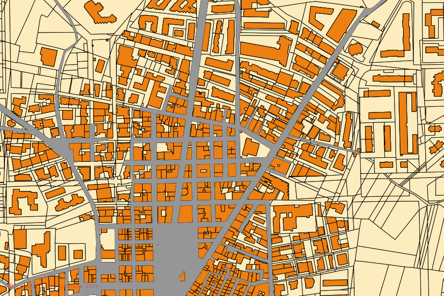 Mappa catastale del centro di Bitritto: particelle e fabbricati, cartografia Agenzia delle Entrate