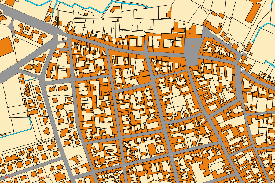 Mappa catastale del centro di Bozzolo: particelle e fabbricati, cartografia Agenzia delle Entrate
