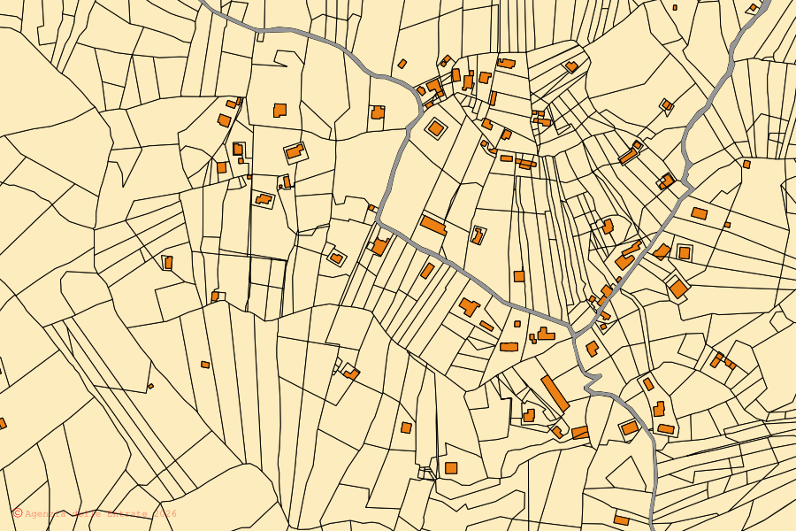 Mappa catastale del centro di Buccino: particelle e fabbricati, cartografia Agenzia delle Entrate