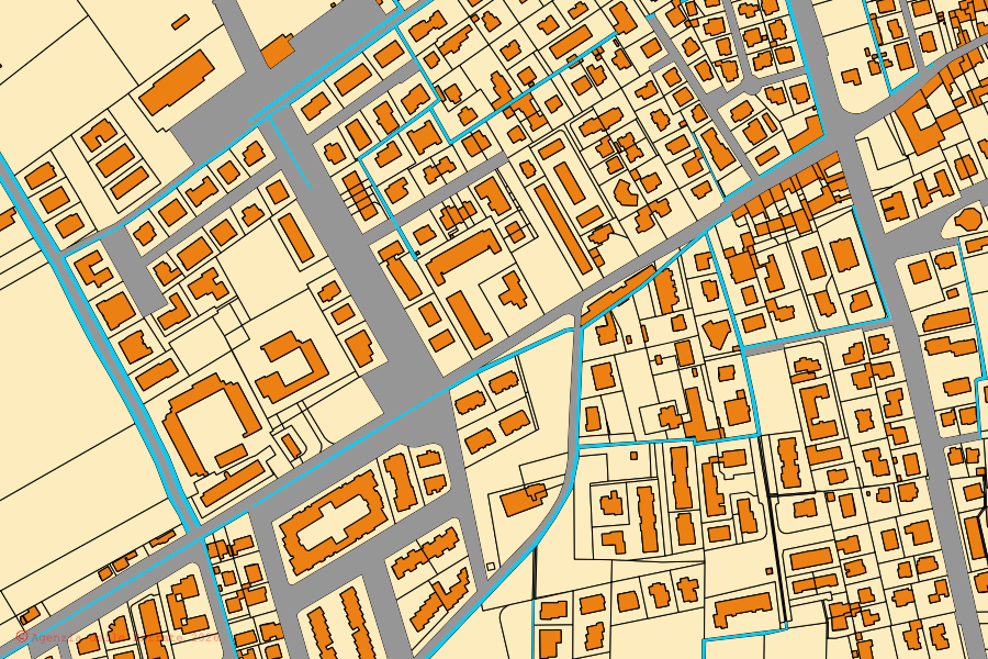 Mappa catastale del centro di Carpenedolo: particelle e fabbricati, cartografia Agenzia delle Entrate