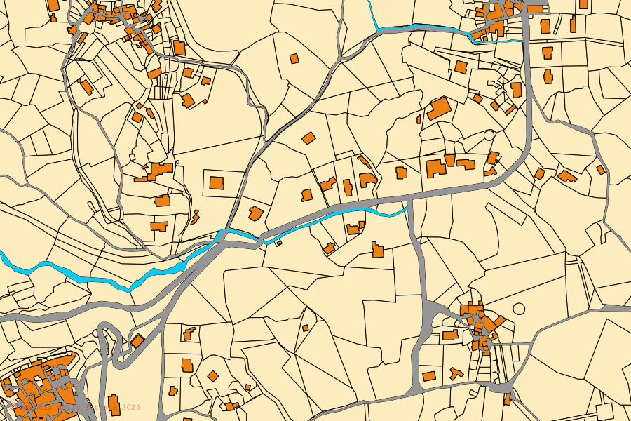 Mappa catastale del centro di Castelnuovo Parano: particelle e fabbricati, cartografia Agenzia delle Entrate