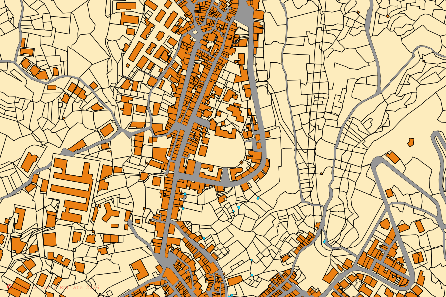 Mappa catastale del centro di Delianuova: particelle e fabbricati, cartografia Agenzia delle Entrate