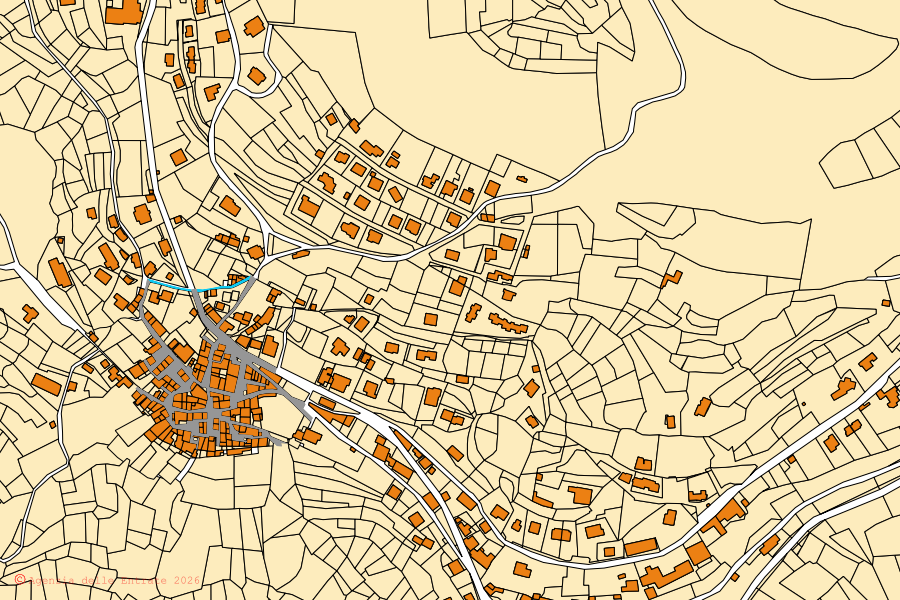 Mappa catastale del centro di Dizzasco: particelle e fabbricati, cartografia Agenzia delle Entrate