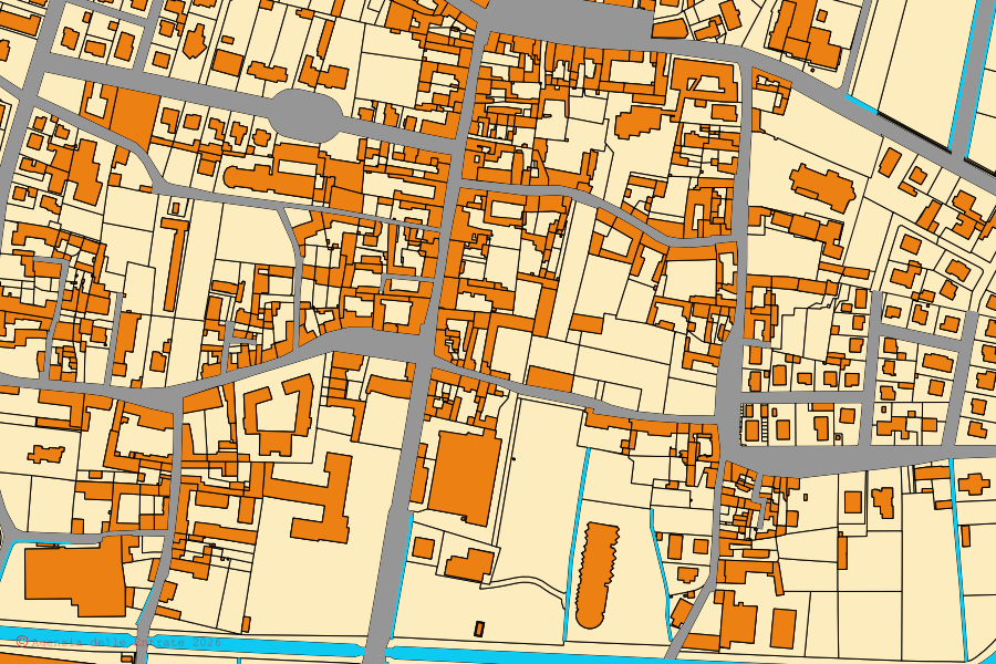 Mappa catastale del centro di Guidizzolo: particelle e fabbricati, cartografia Agenzia delle Entrate