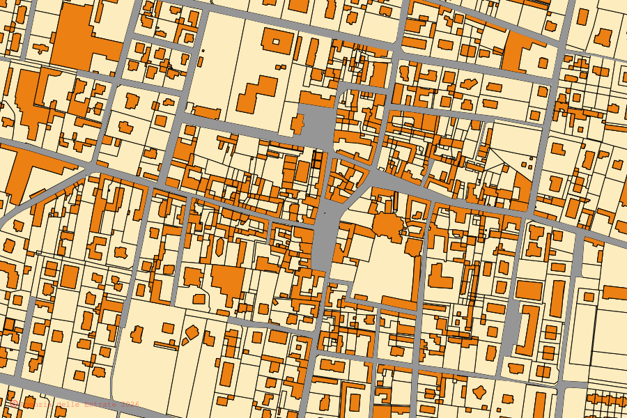 Mappa catastale del centro di Magnago: particelle e fabbricati, cartografia Agenzia delle Entrate
