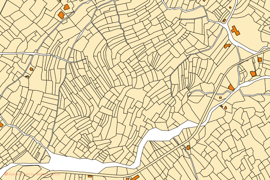 Mappa catastale del centro di Minucciano: particelle e fabbricati, cartografia Agenzia delle Entrate