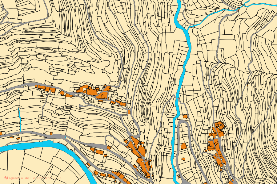 Mappa catastale del centro di Nasino: particelle e fabbricati, cartografia Agenzia delle Entrate