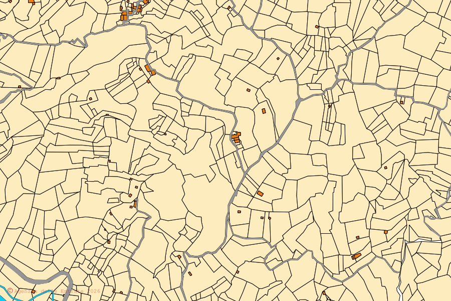Mappa catastale del centro di Pagliara: particelle e fabbricati, cartografia Agenzia delle Entrate