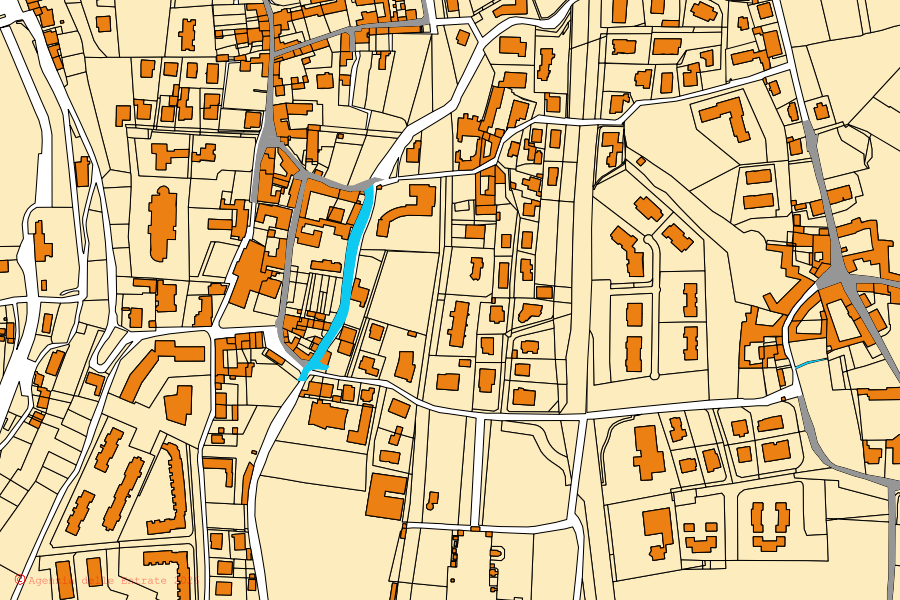 Mappa catastale del centro di Paladina: particelle e fabbricati, cartografia Agenzia delle Entrate