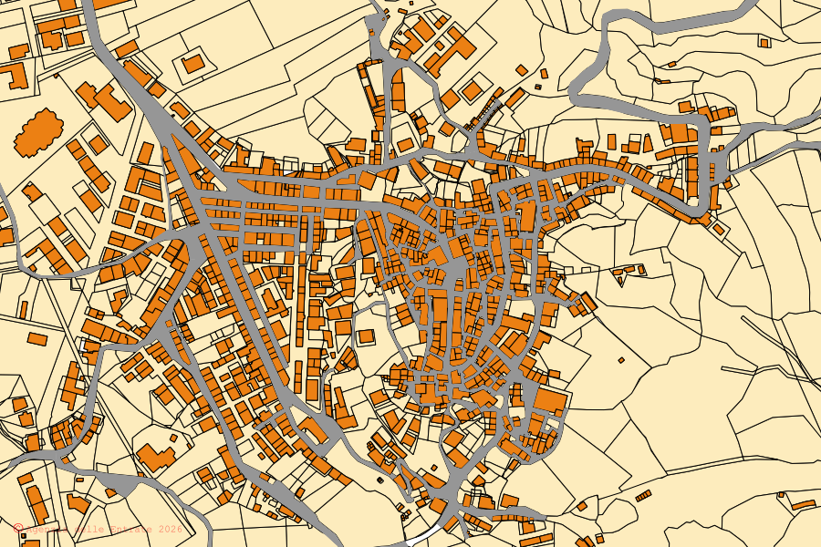 Mappa catastale del centro di Pallagorio: particelle e fabbricati, cartografia Agenzia delle Entrate