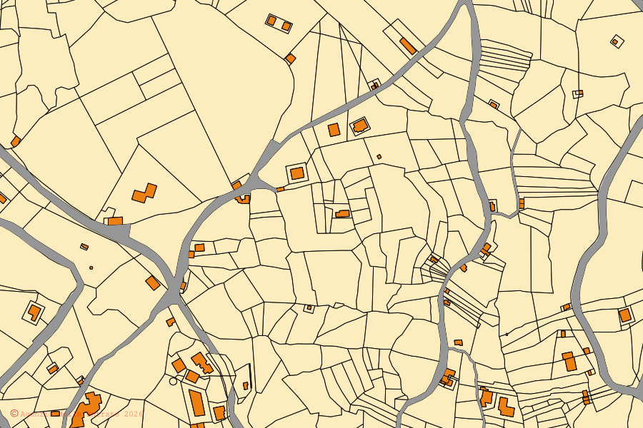 Mappa catastale del centro di Piaggine: particelle e fabbricati, cartografia Agenzia delle Entrate