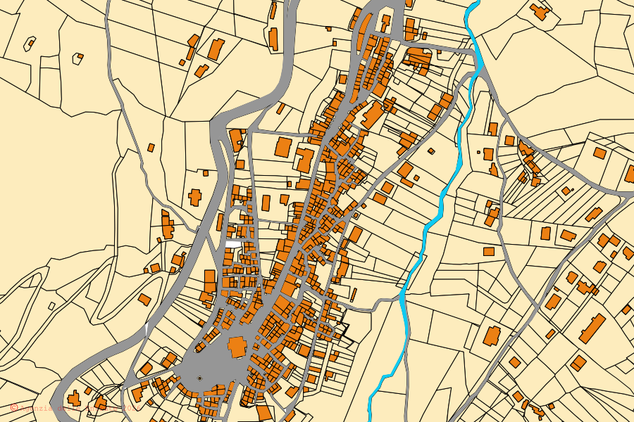 Mappa catastale del centro di Platania: particelle e fabbricati, cartografia Agenzia delle Entrate