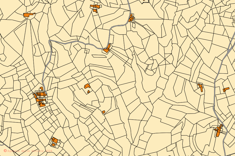 Mappa catastale del centro di Prascorsano: particelle e fabbricati, cartografia Agenzia delle Entrate