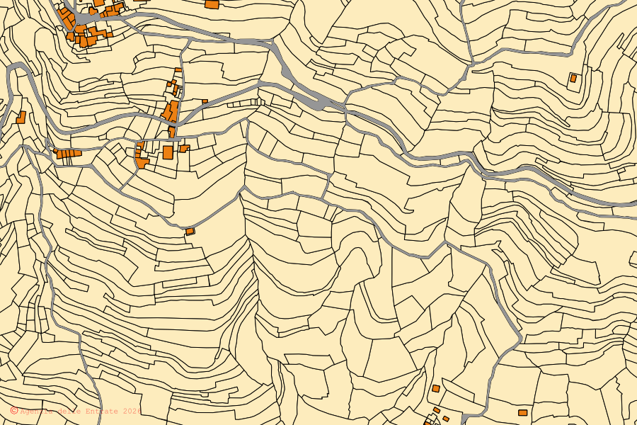Mappa catastale del centro di Ranzo: particelle e fabbricati, cartografia Agenzia delle Entrate