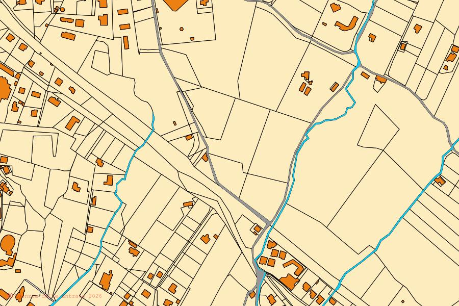 Mappa catastale del centro di Ricadi: particelle e fabbricati, cartografia Agenzia delle Entrate
