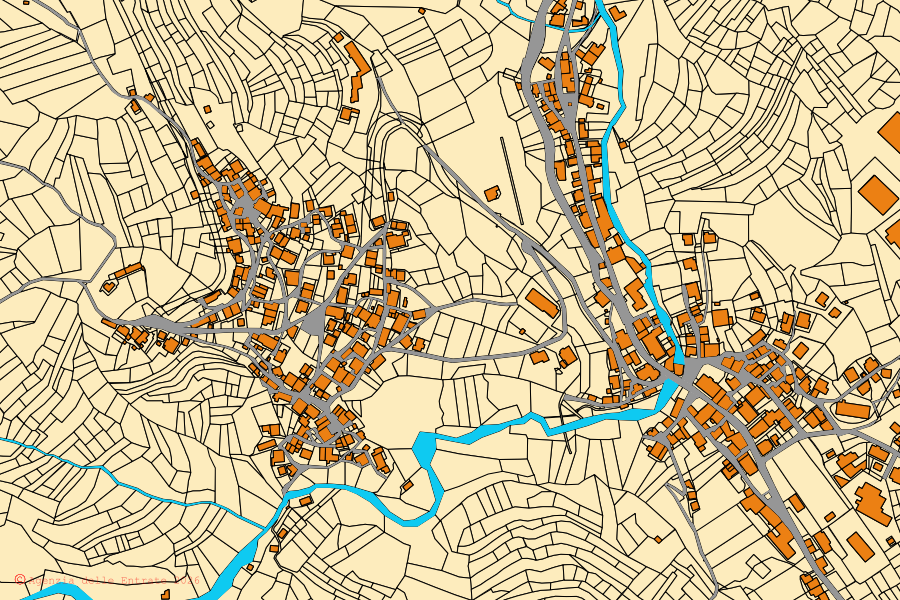 Mappa catastale del centro di Rigolato: particelle e fabbricati, cartografia Agenzia delle Entrate