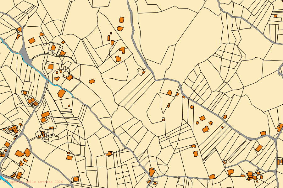 Mappa catastale del centro di Rotonda: particelle e fabbricati, cartografia Agenzia delle Entrate
