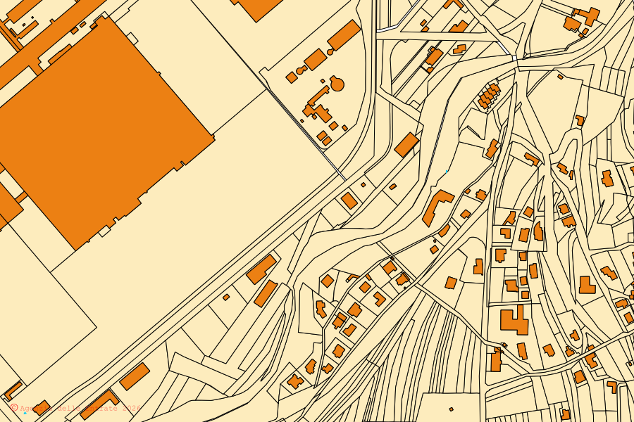 Mappa catastale del centro di San Dorligo della Valle: particelle e fabbricati, cartografia Agenzia delle Entrate