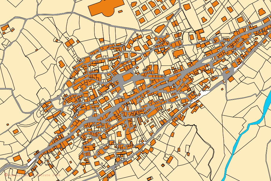 Mappa catastale del centro di San Mango d'Aquino: particelle e fabbricati, cartografia Agenzia delle Entrate