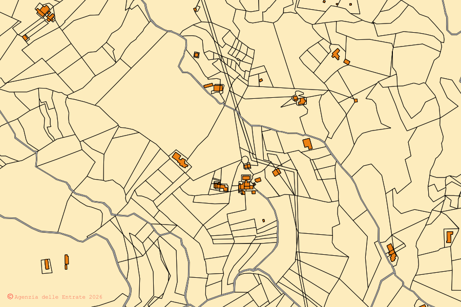 Mappa catastale del centro di San Pietro in Amantea: particelle e fabbricati, cartografia Agenzia delle Entrate