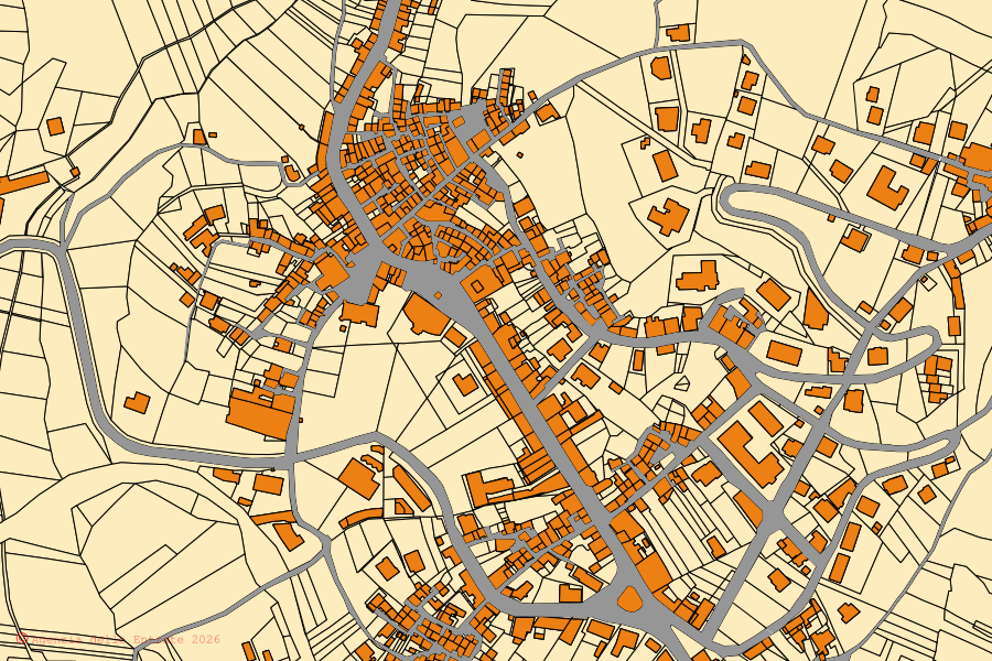 Mappa catastale del centro di Soveria Mannelli: particelle e fabbricati, cartografia Agenzia delle Entrate