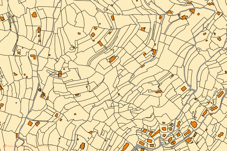 Mappa catastale del centro di Vallebona: particelle e fabbricati, cartografia Agenzia delle Entrate