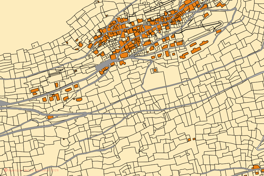 Mappa catastale del centro di Vione: particelle e fabbricati, cartografia Agenzia delle Entrate