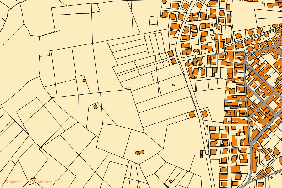 Mappa catastale del centro di Visciano: particelle e fabbricati, cartografia Agenzia delle Entrate