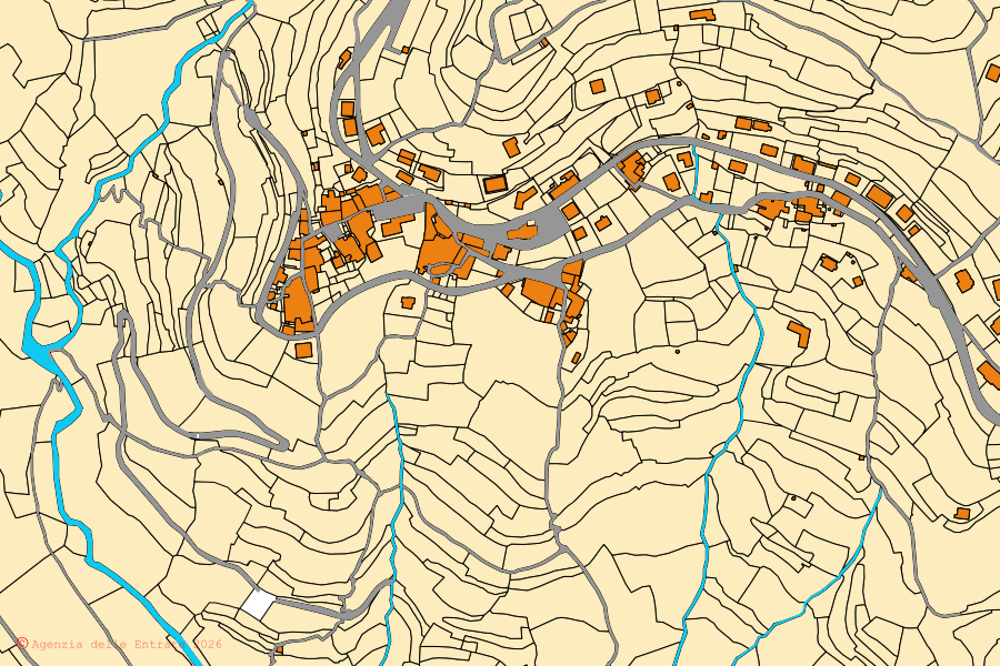 Cadastral map of the centre of Arnasco: parcels and buildings, Agenzia delle Entrate cartography