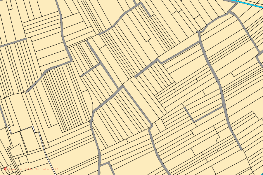 Cadastral map of the centre of Briona: parcels and buildings, Agenzia delle Entrate cartography