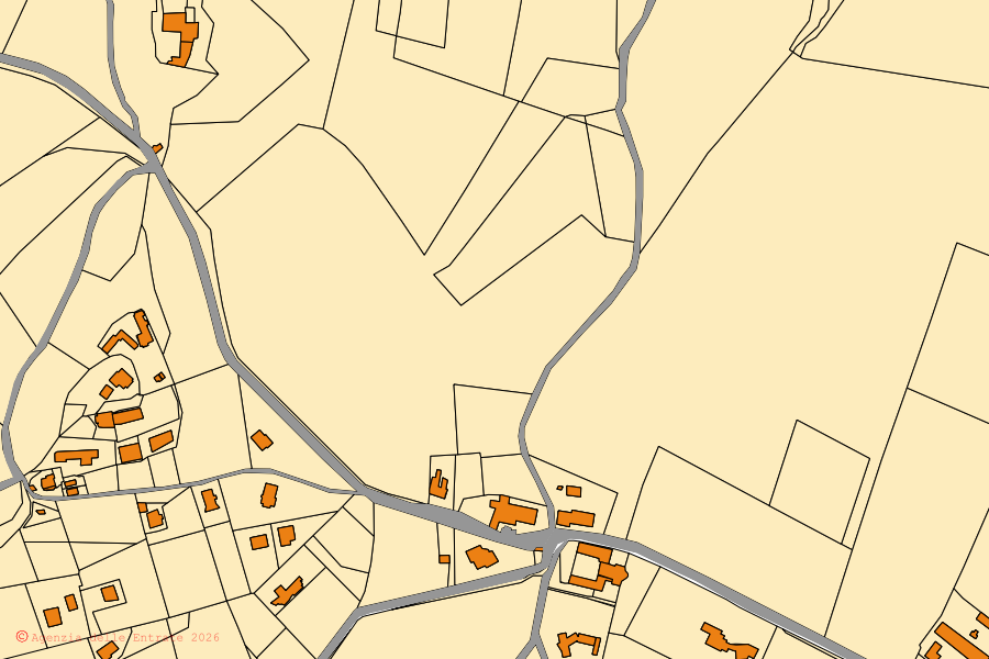 Cadastral map of the centre of Calvignano: parcels and buildings, Agenzia delle Entrate cartography