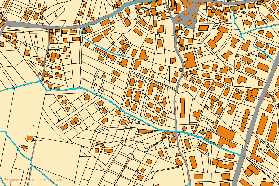 Cadastral map of the centre of Davoli: parcels and buildings, Agenzia delle Entrate cartography