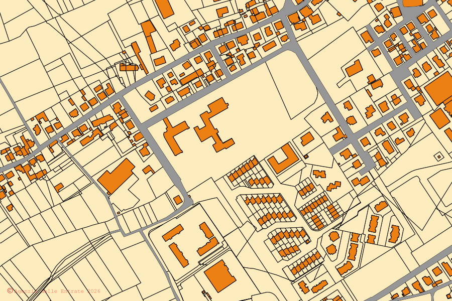 Cadastral map of the centre of Larciano: parcels and buildings, Agenzia delle Entrate cartography