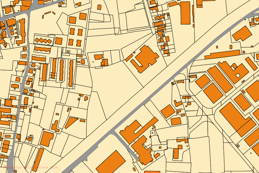 Cadastral map of the centre of Massa e Cozzile: parcels and buildings, Agenzia delle Entrate cartography