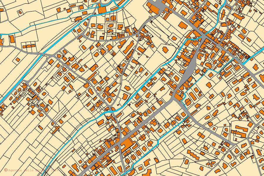 Cadastral map of the centre of Massarosa: parcels and buildings, Agenzia delle Entrate cartography
