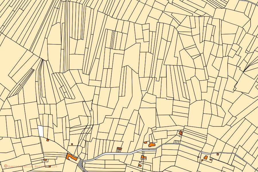 Cadastral map of the centre of Palazzo Canavese: parcels and buildings, Agenzia delle Entrate cartography