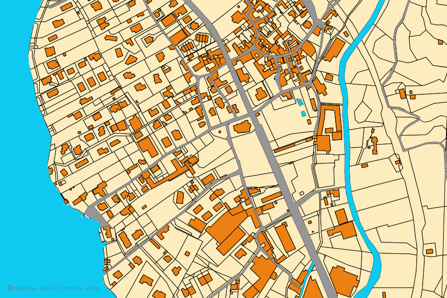 Cadastral map of the centre of Pettenasco: parcels and buildings, Agenzia delle Entrate cartography