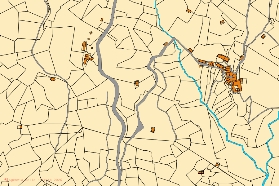 Cadastral map of the centre of Pettinengo: parcels and buildings, Agenzia delle Entrate cartography