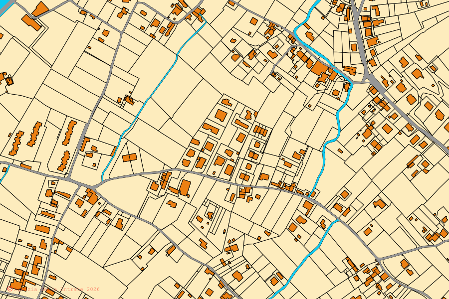 Cadastral map of the centre of Pietrasanta: parcels and buildings, Agenzia delle Entrate cartography