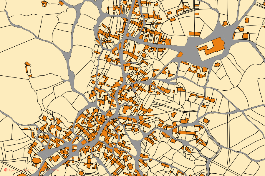Cadastral map of the centre of Ruinas: parcels and buildings, Agenzia delle Entrate cartography