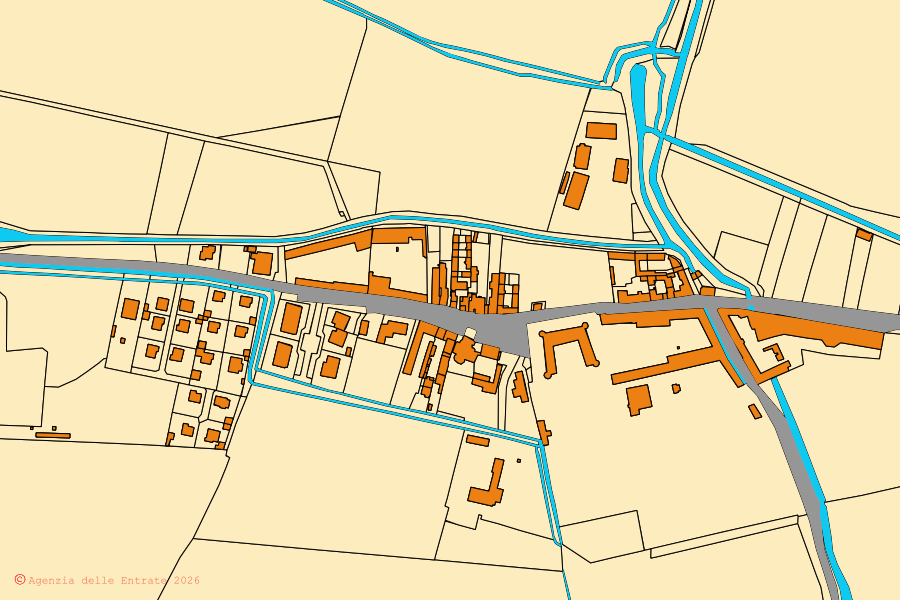 Cadastral map of the centre of Salasco: parcels and buildings, Agenzia delle Entrate cartography