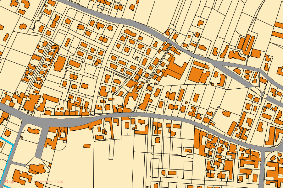 Cadastral map of the centre of Salizzole: parcels and buildings, Agenzia delle Entrate cartography