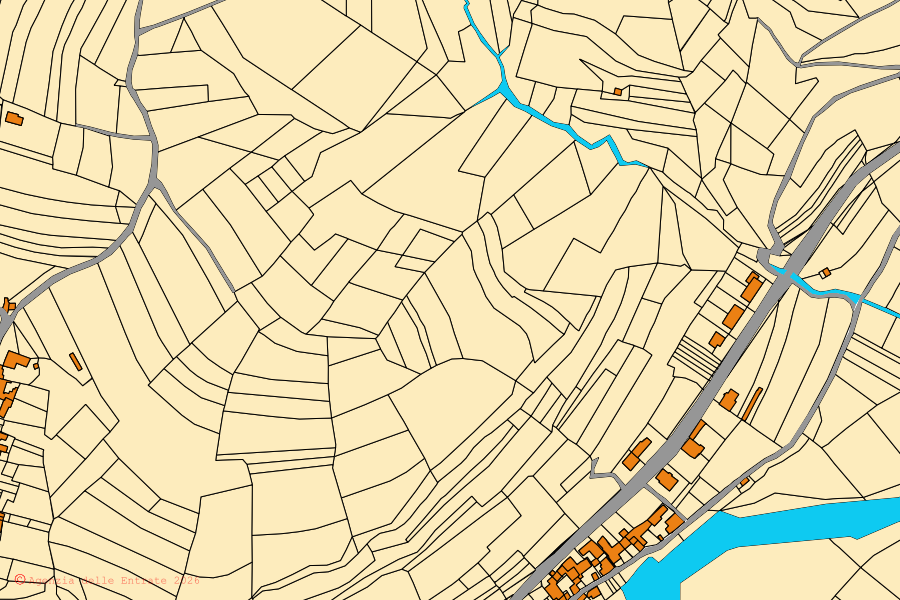 Cadastral map of the centre of San Michele Mondovì: parcels and buildings, Agenzia delle Entrate cartography