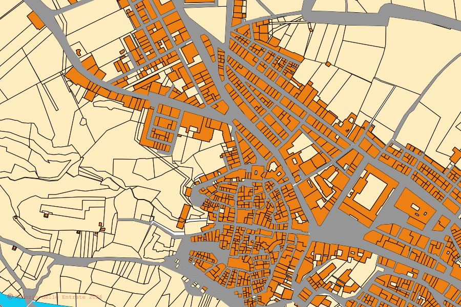 Cadastral map of the centre of Spinazzola: parcels and buildings, Agenzia delle Entrate cartography