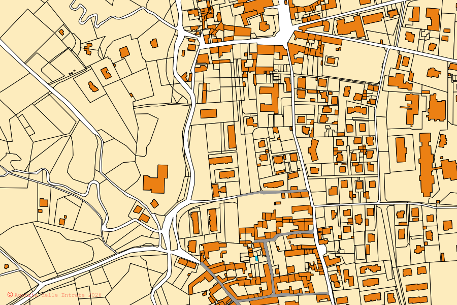 Cadastral map of the centre of Terno d'Isola: parcels and buildings, Agenzia delle Entrate cartography