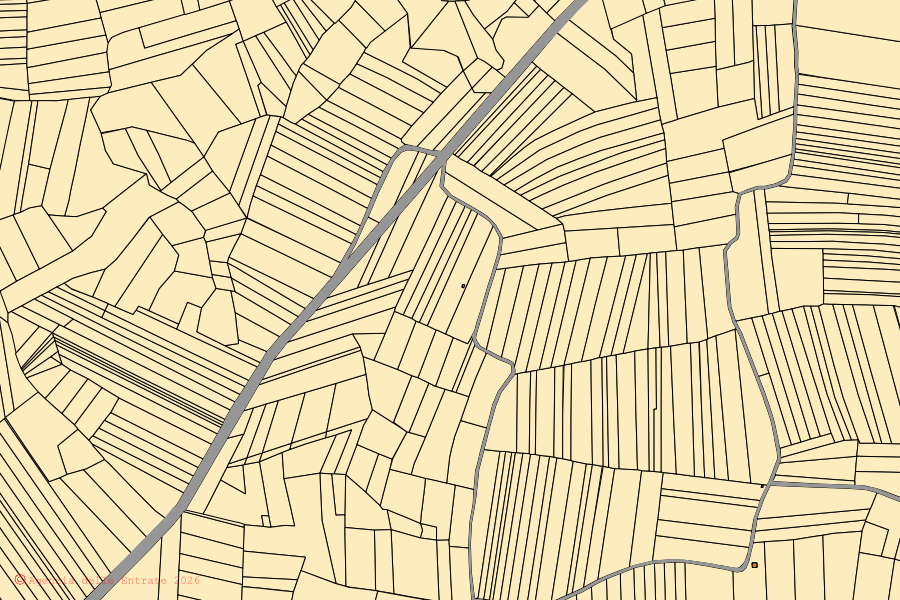 Cadastral map of the centre of Vische: parcels and buildings, Agenzia delle Entrate cartography