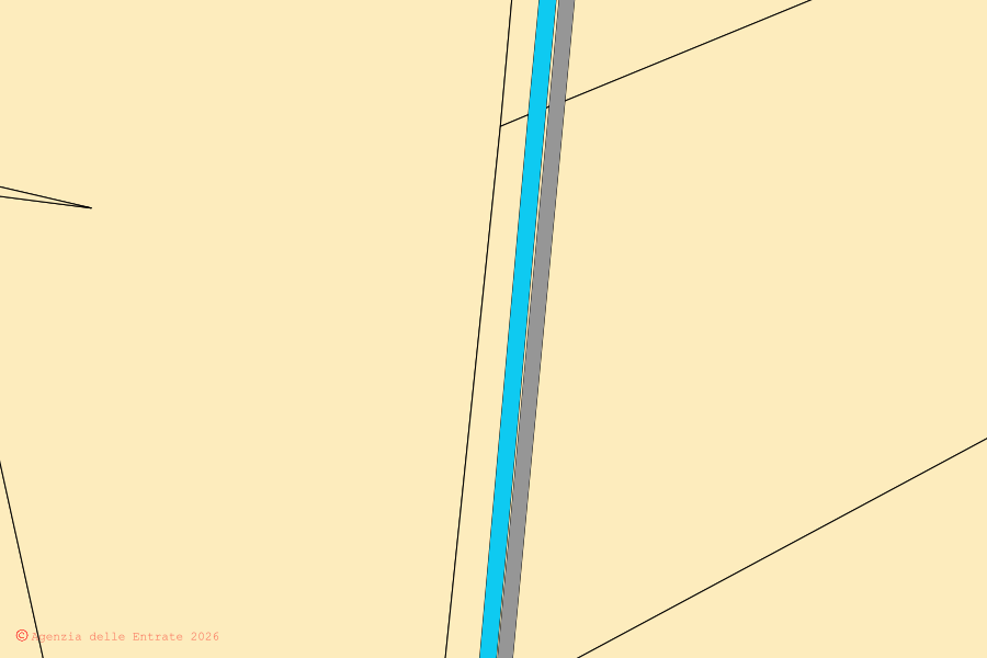 Cadastral map of the centre of Zapponeta: parcels and buildings, Agenzia delle Entrate cartography