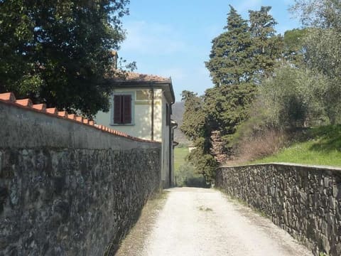 Photo of the lot 1